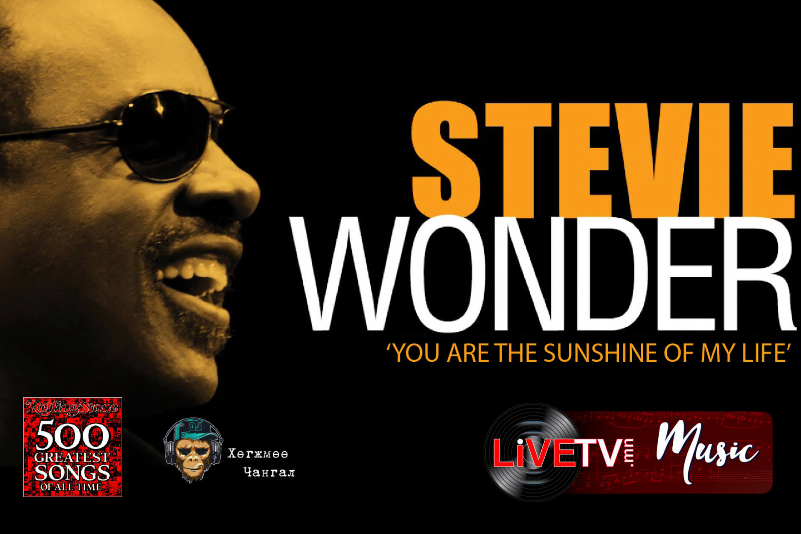 Стив вандер. Stevie Wonder 