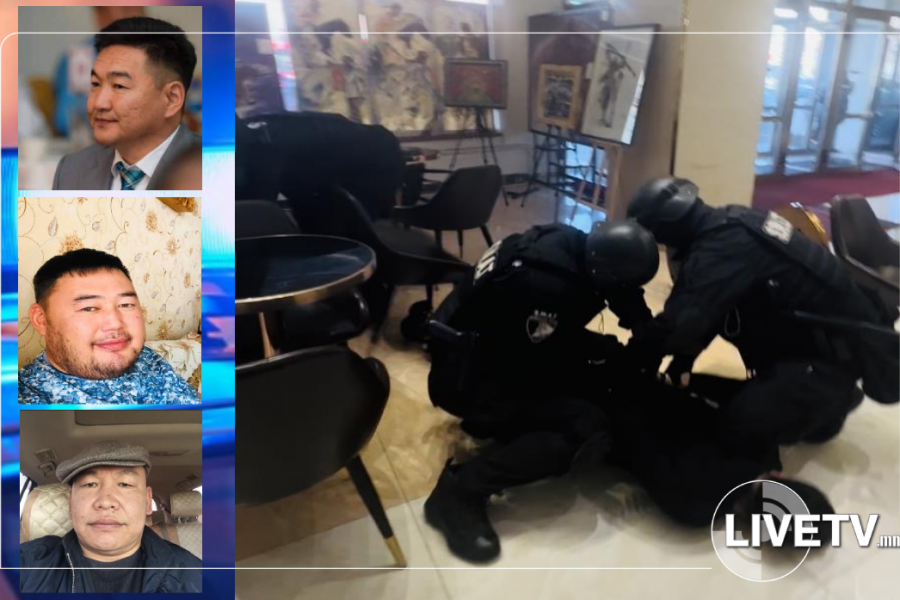 Эрүүгийн элементүүдийг баривчилжээ