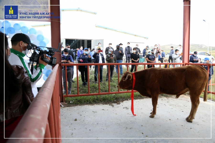 Малын дуудлага худалдааг анх удаа амжилттай зохион байгууллаа